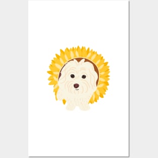 Sunflower Maltipoo Posters and Art